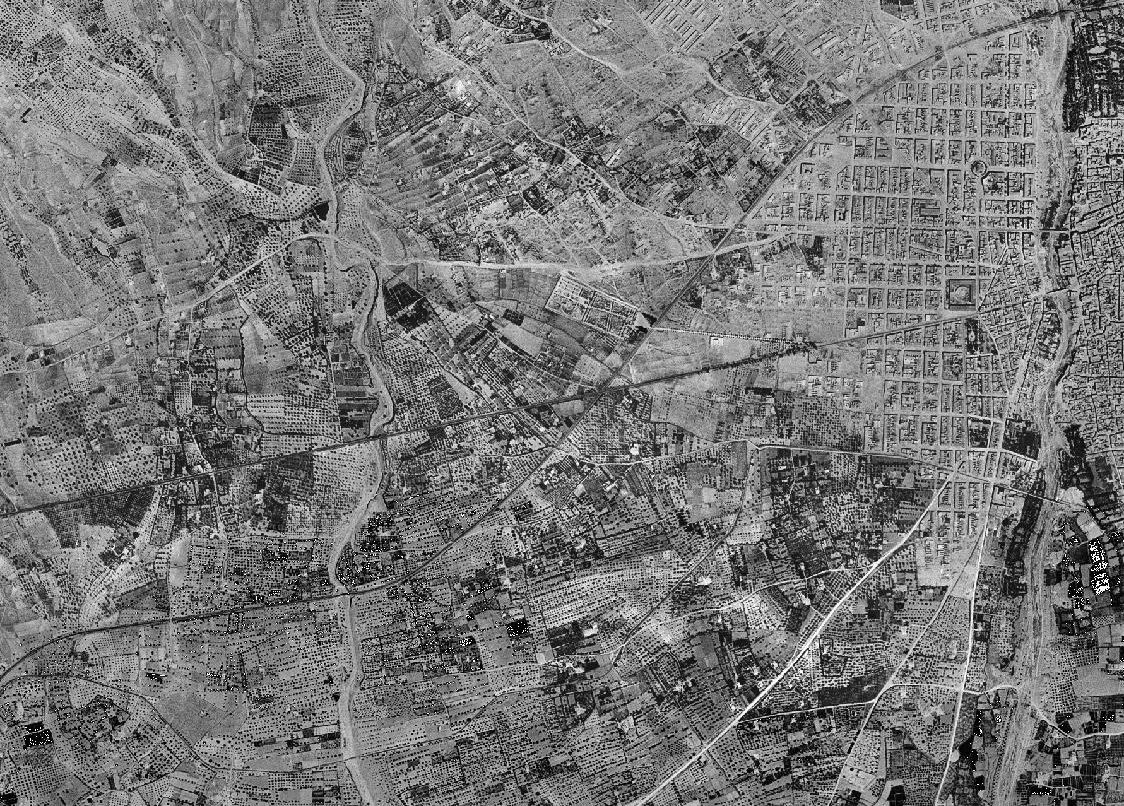 Ortofoto de 1956-1957 del Llano de San José en Elche, vuelo americano serie B en pancromático